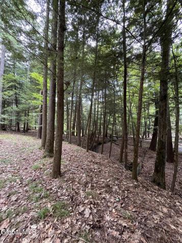 23 Butternut Way Kattskill Bay NY 12844