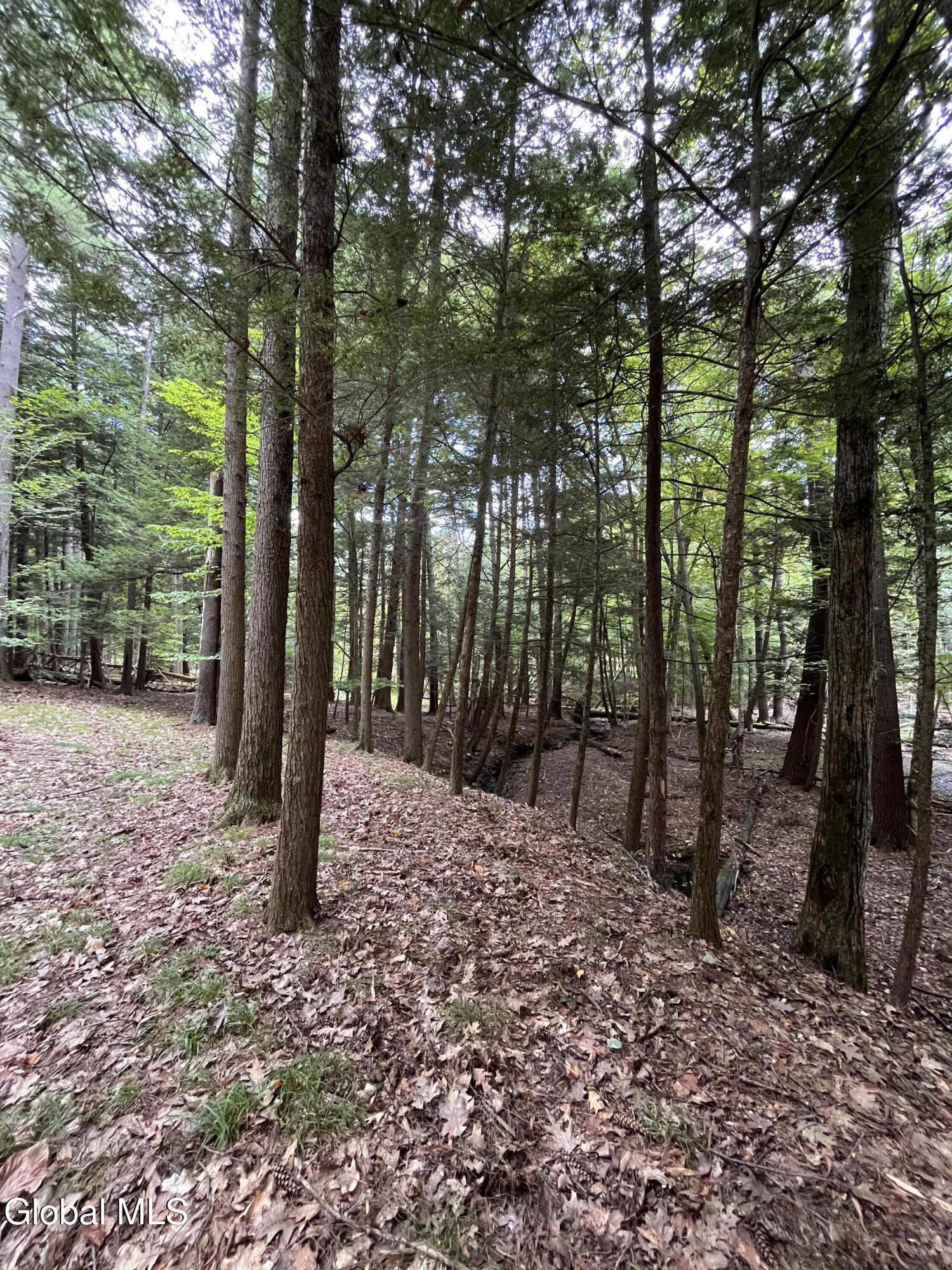 23 Butternut Way Kattskill Bay NY 12844