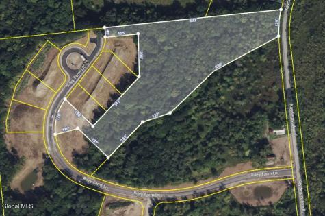 6 Riley Farm Lane Saratoga Springs NY 12866