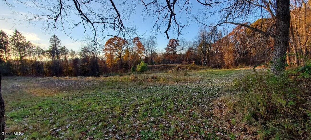 142 Solarview Lane Slingerlands NY 12159