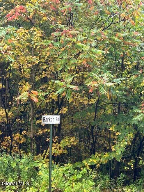 L22 North Road Dolgeville NY 13329