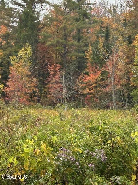 L22 North Road Dolgeville NY 13329
