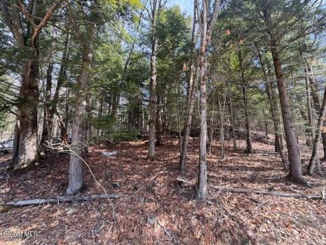 358 River Road Riparius NY 12862