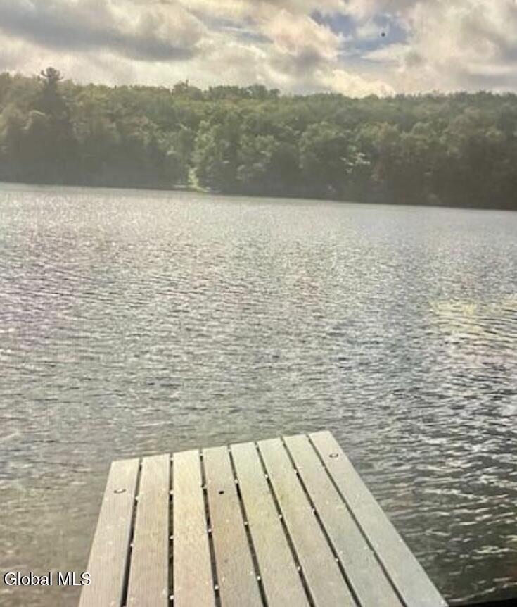 95 Pond View Way Petersburgh NY 12138