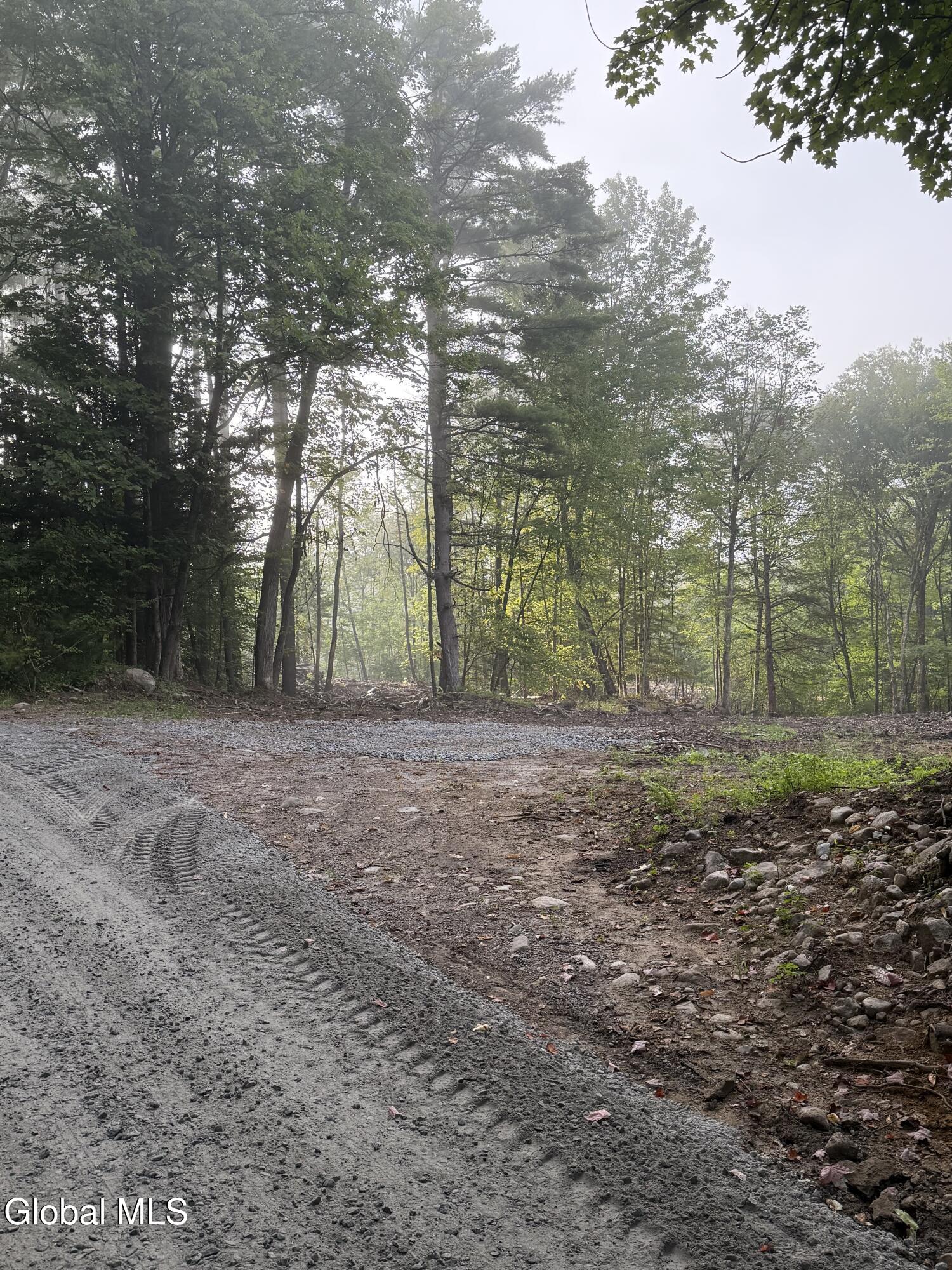 326 Dickinson Hill Road Bolton NY 12824