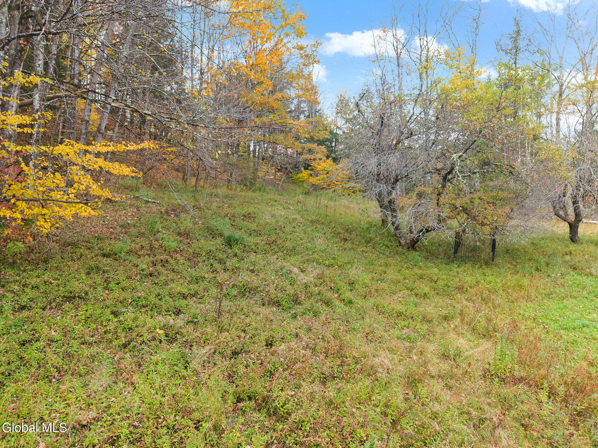 1259 W Fulton Road Warnerville NY 12187