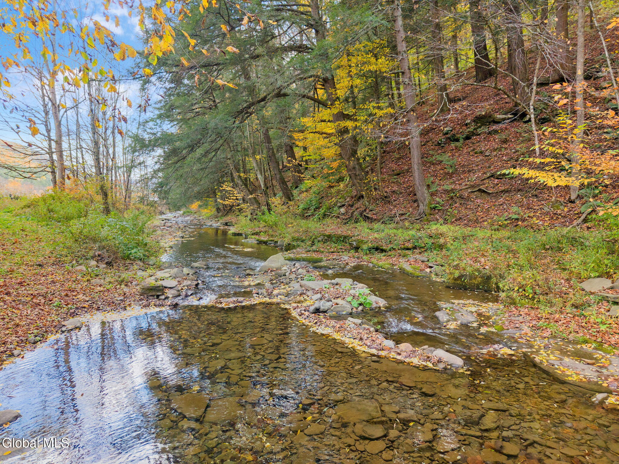 1259 W Fulton Road Warnerville NY 12187