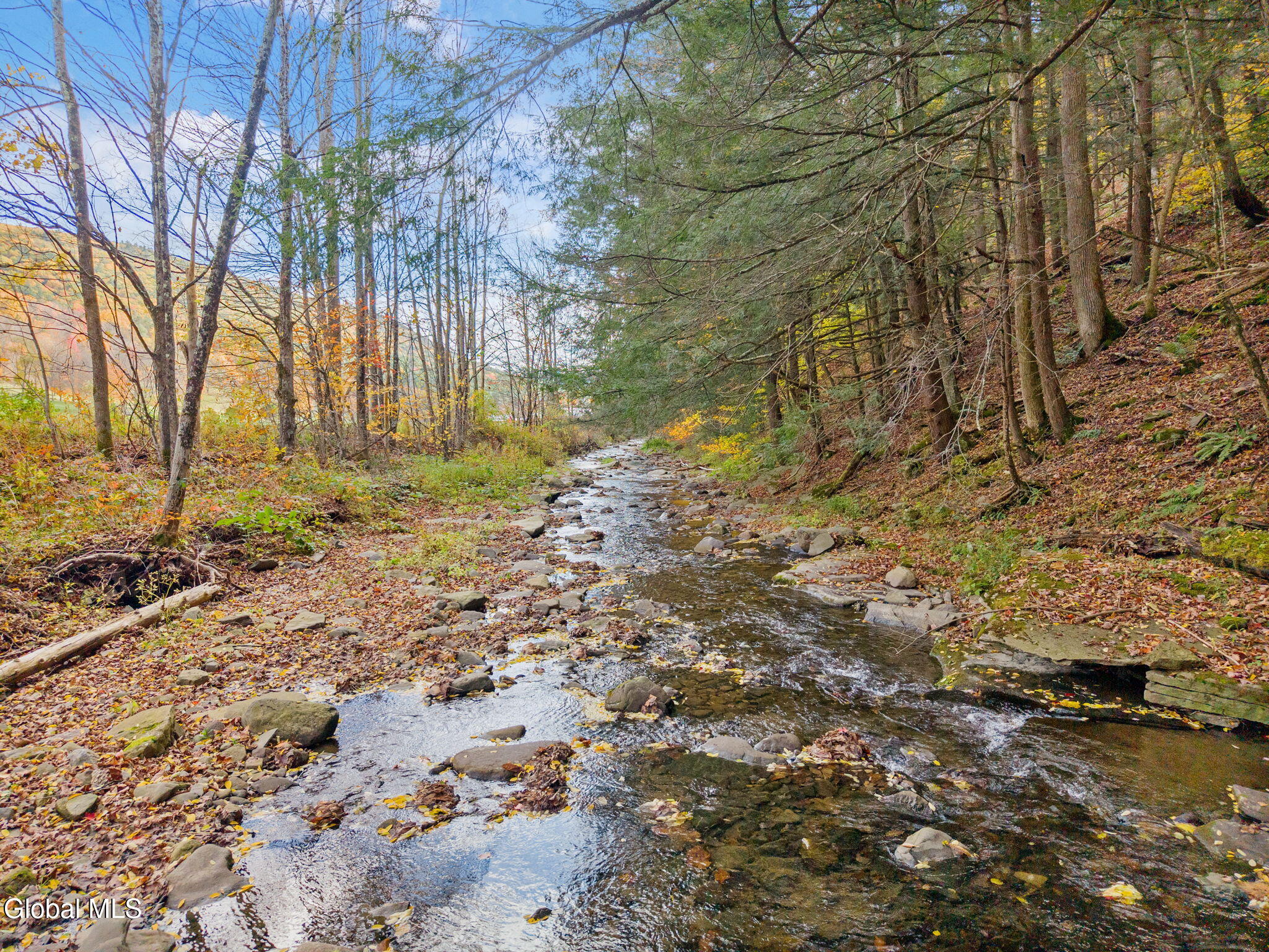 1259 W Fulton Road Warnerville NY 12187