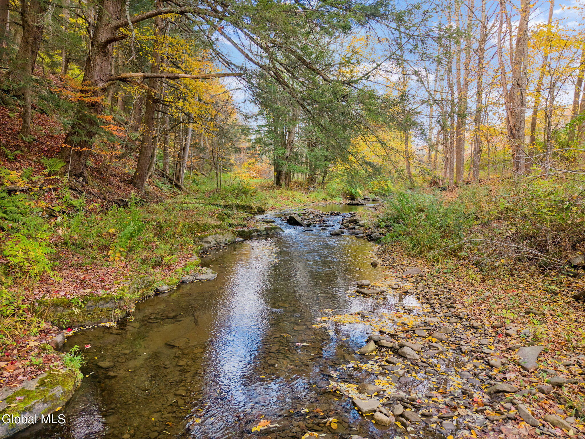 1259 W Fulton Road Warnerville NY 12187