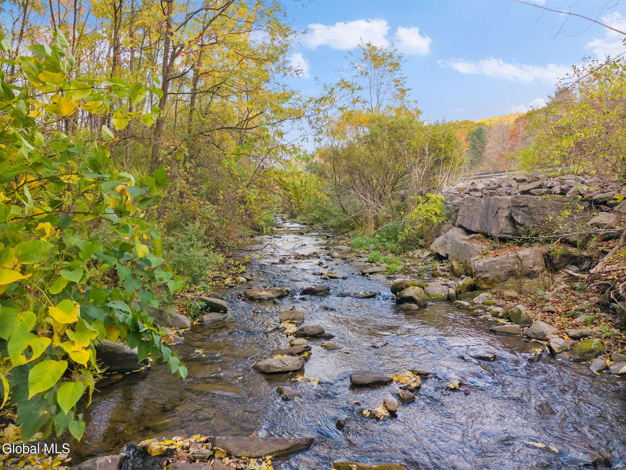 1259 W Fulton Road Warnerville NY 12187