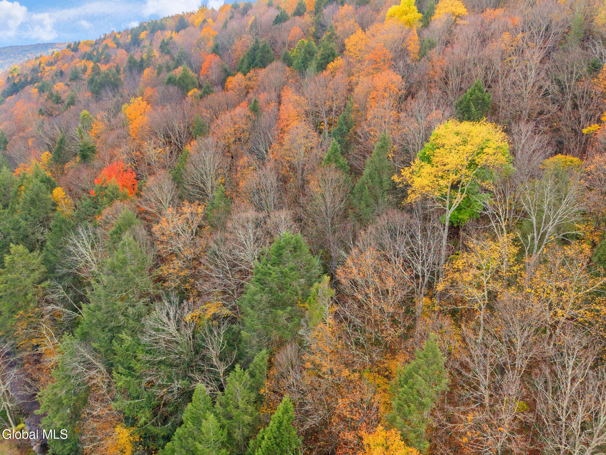1259 W Fulton Road Warnerville NY 12187