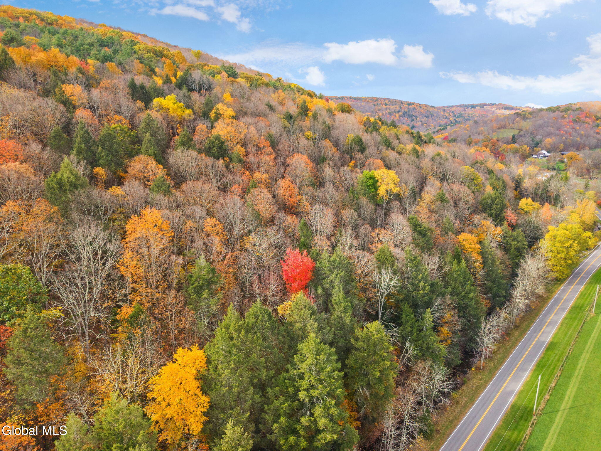 1259 W Fulton Road Warnerville NY 12187