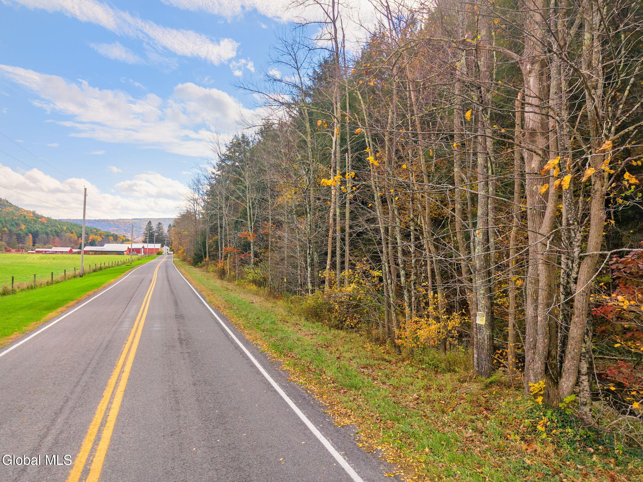 1259 W Fulton Road Warnerville NY 12187
