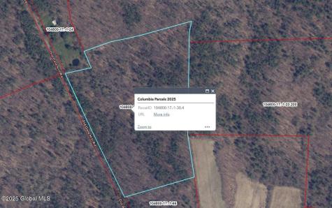 L30.4 Gale Hill Road Old Chatham NY 12060