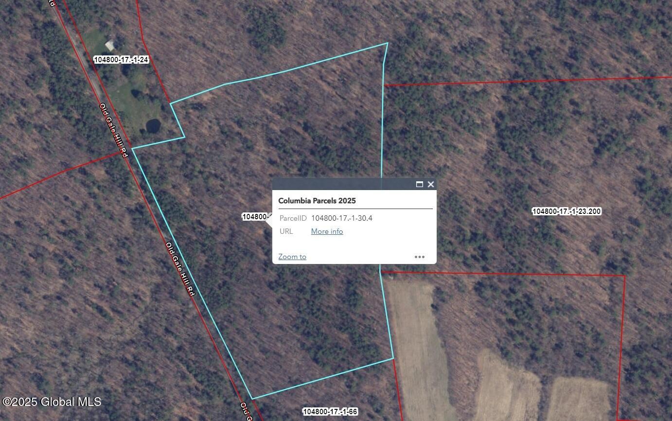 L30.4 Gale Hill Road Old Chatham NY 12060