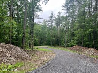 L30.4 Gale Hill Road Old Chatham NY 12060
