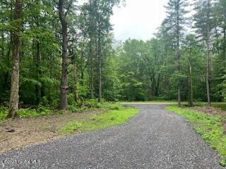 L30.4 Gale Hill Road Old Chatham NY 12060