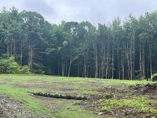 L30.4 Gale Hill Road Old Chatham NY 12060