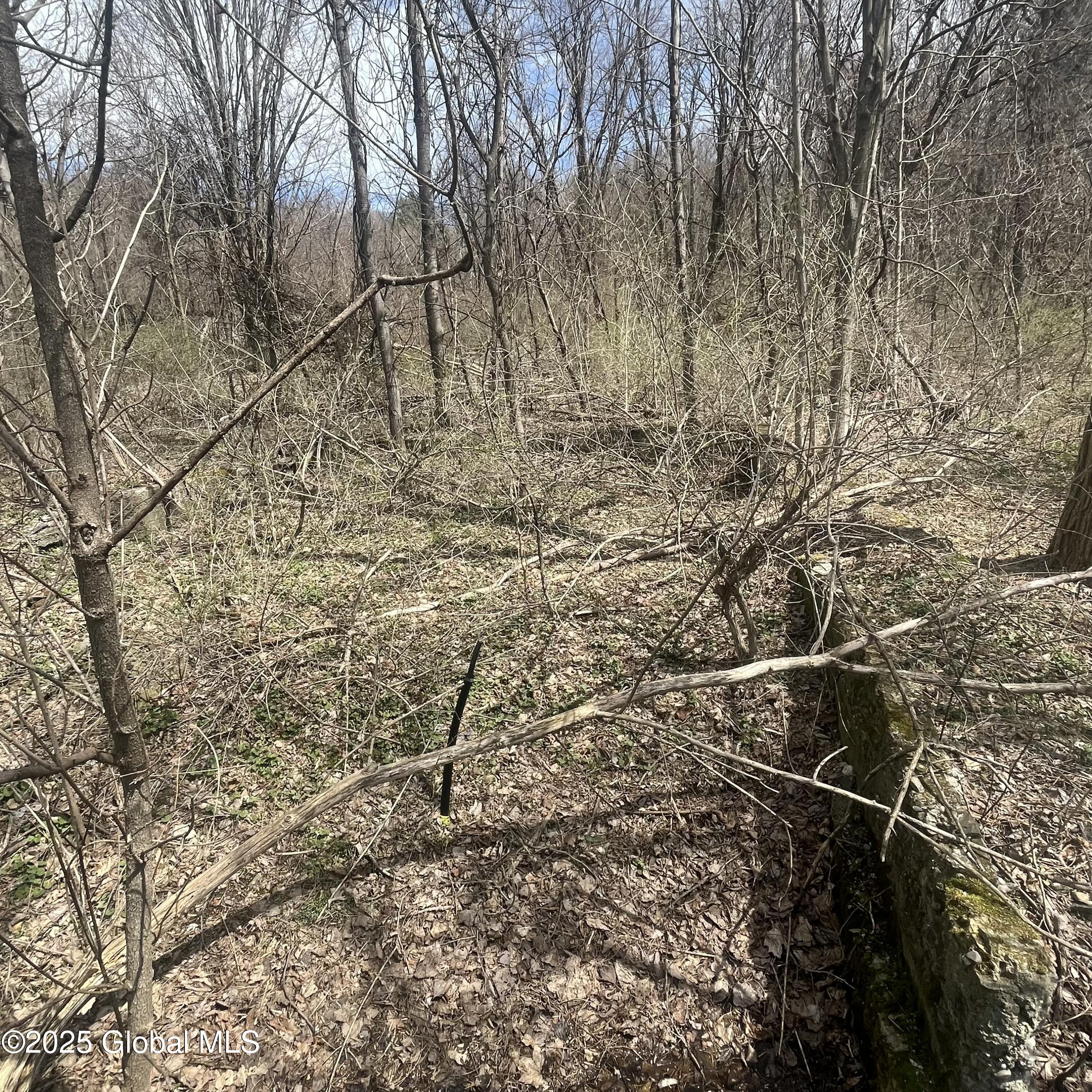 727 County Route 77 Greenwich NY 12834