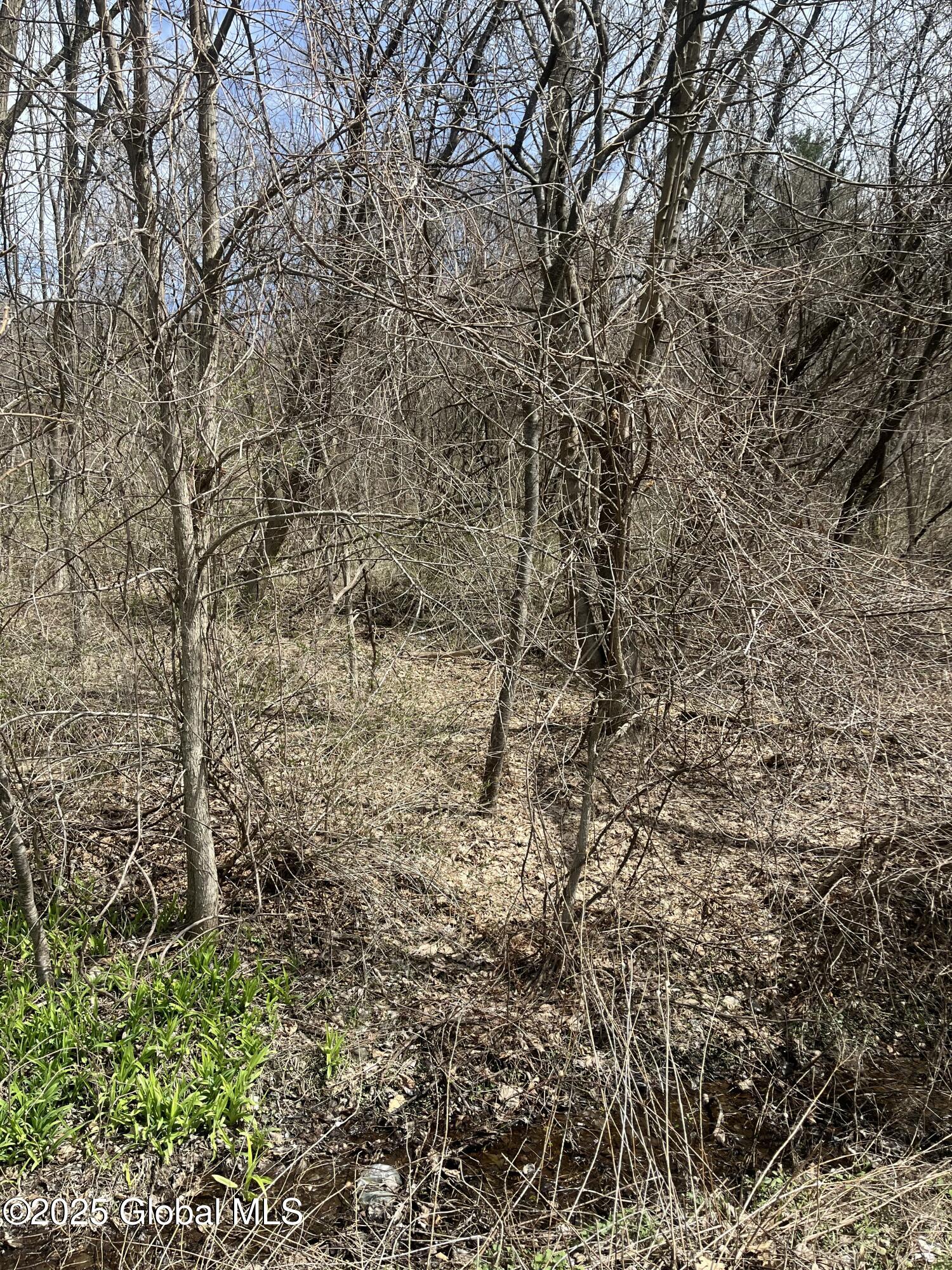 727 County Route 77 Greenwich NY 12834