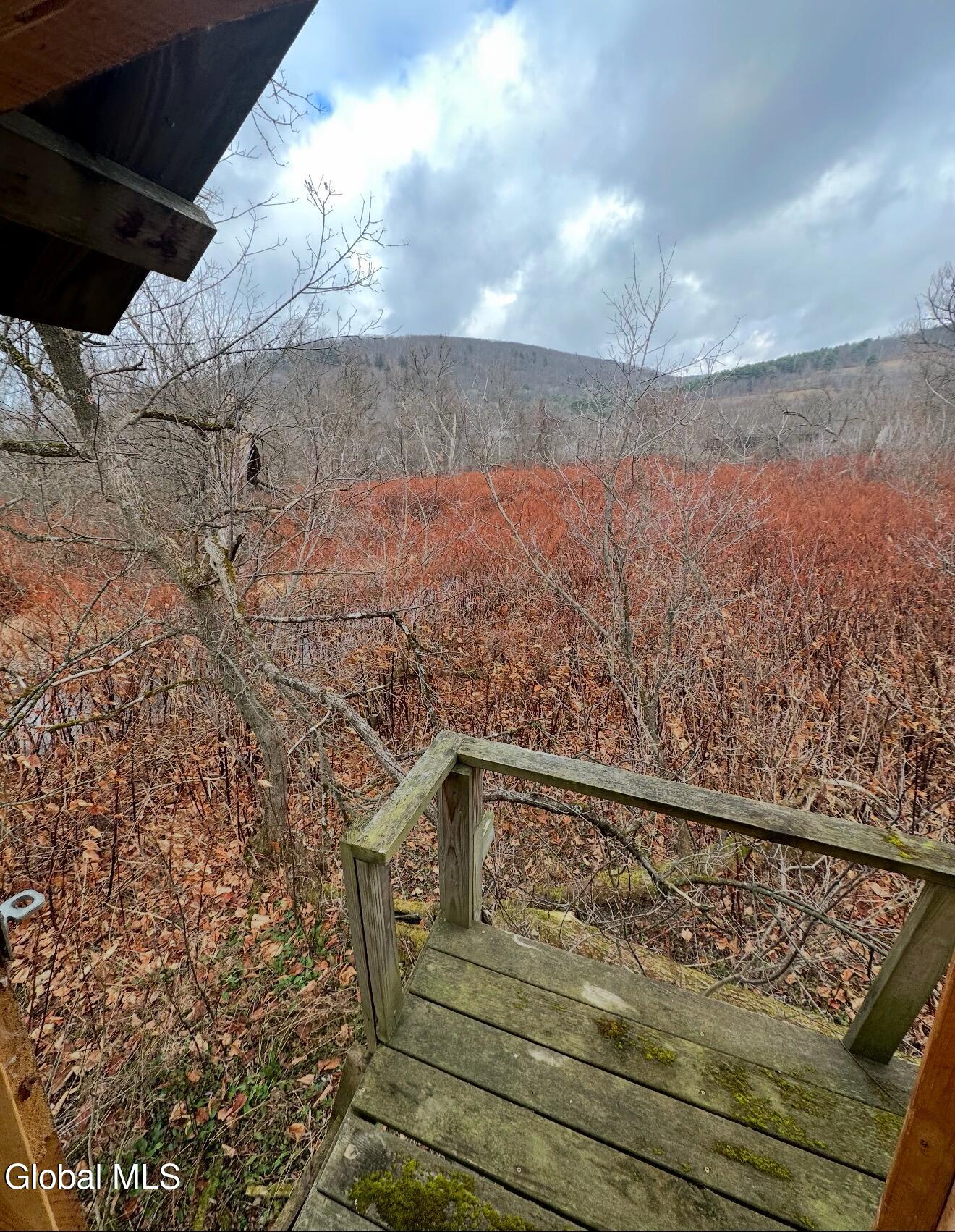 451 Loft Road Maryland NY 12116