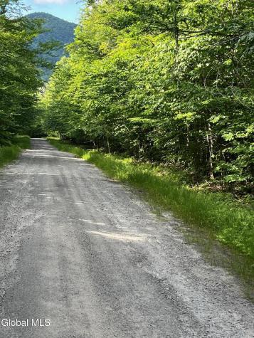 L81.112 Ruby Mountain View Drive North River NY 12856