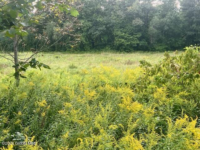 1435 West River Road Gansevoort NY 12831