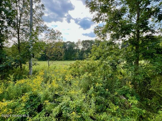 1435 West River Road Gansevoort NY 12831