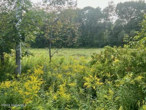 1435 West River Road Gansevoort NY 12831