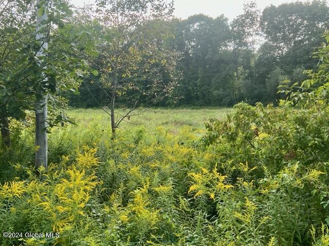 1435 West River Road Gansevoort NY 12831