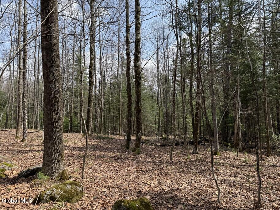 L34.3 Youngs Road Schroon Lake NY 12870