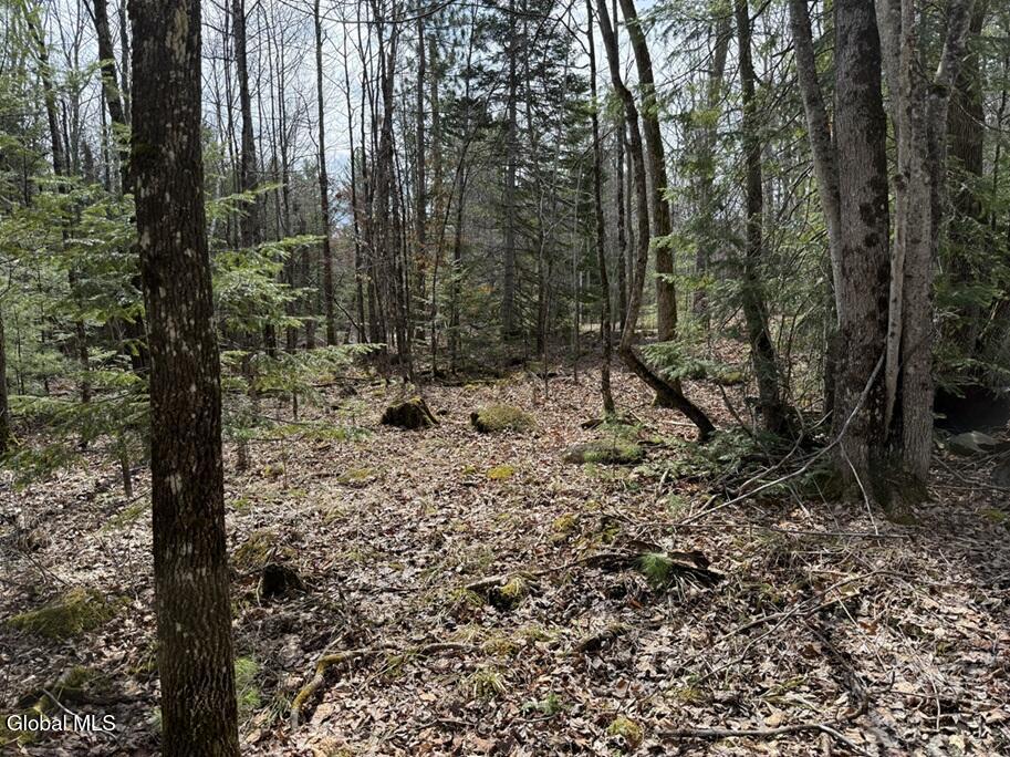 L34.3 Youngs Road Schroon Lake NY 12870