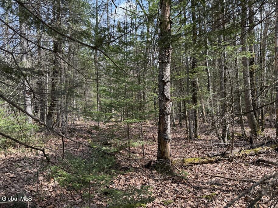 L34.3 Youngs Road Schroon Lake NY 12870