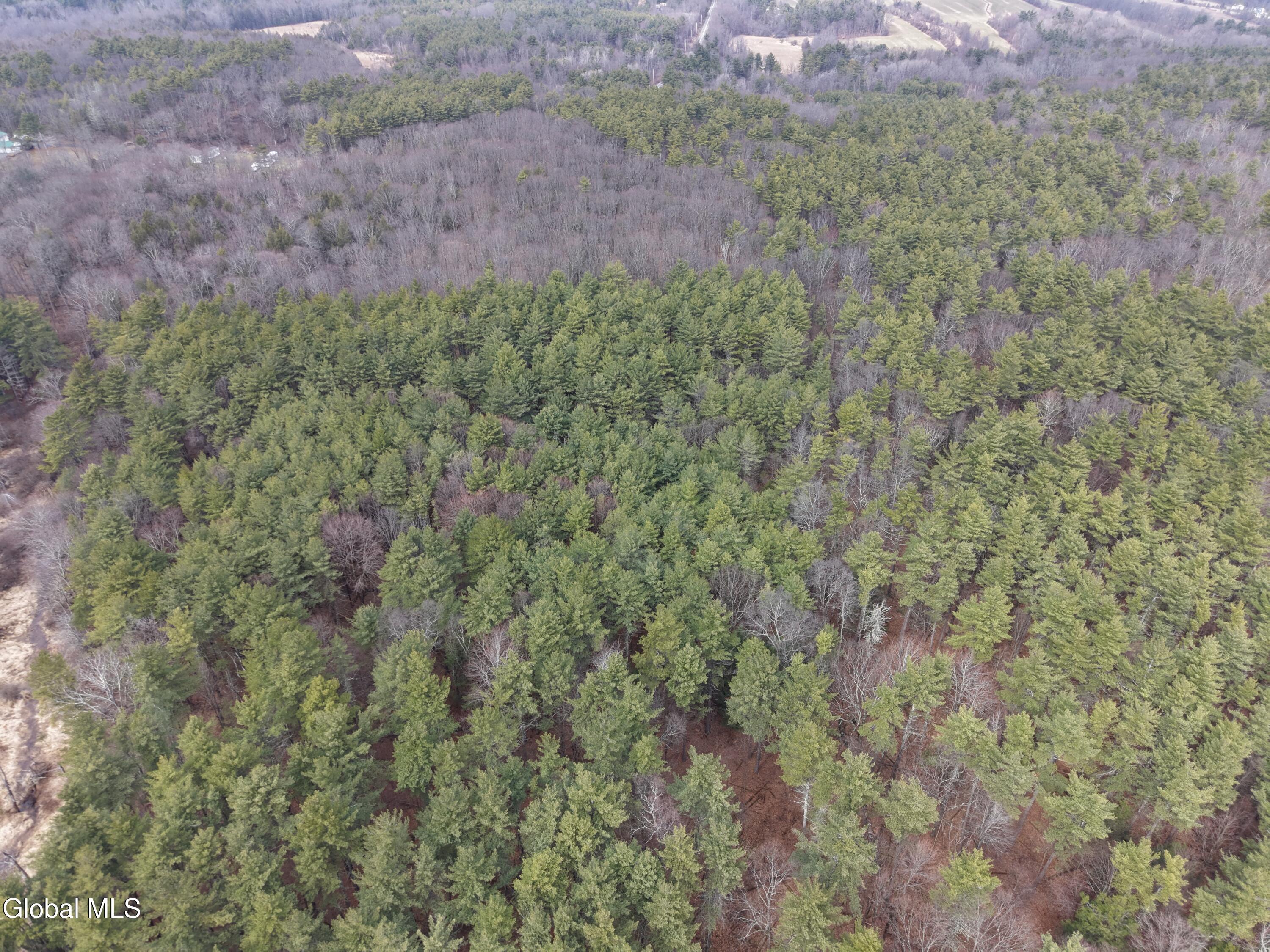 Lot 54 Rr 51 New Baltimore NY 12087