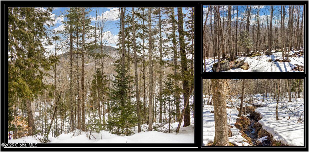 L64 Cooper Hill Road North Creek NY 12853