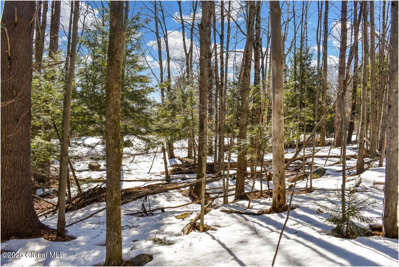 L64 Cooper Hill Road North Creek NY 12853
