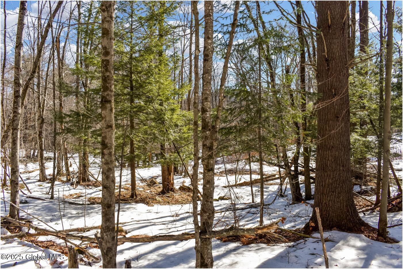 L64 Cooper Hill Road North Creek NY 12853