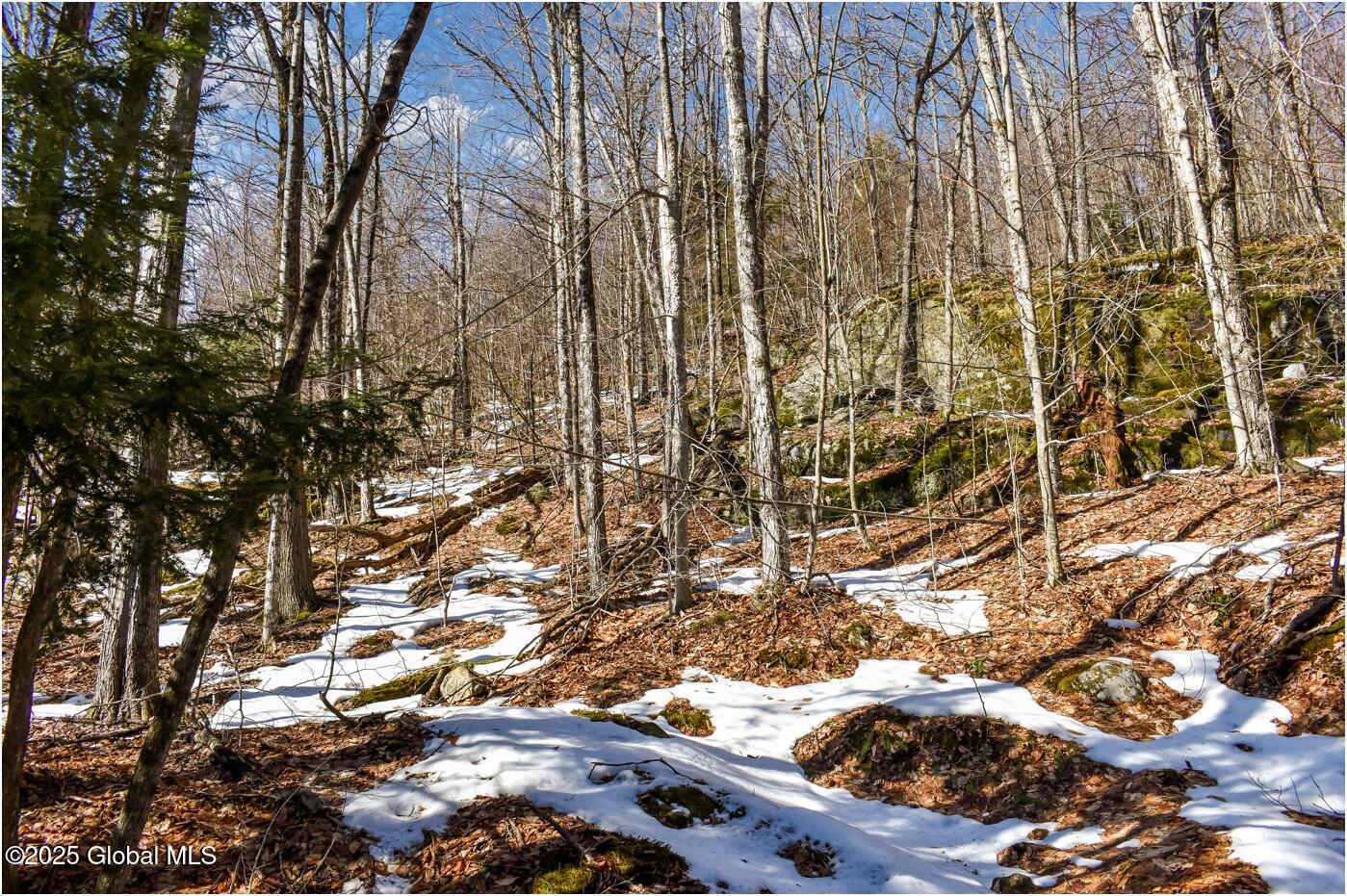 L64 Cooper Hill Road North Creek NY 12853