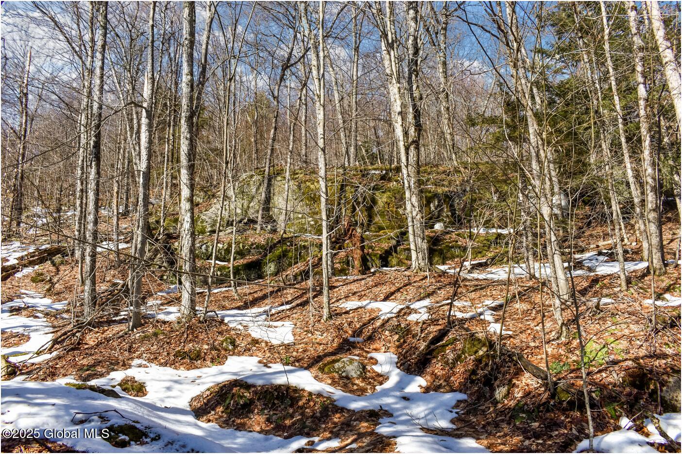 L64 Cooper Hill Road North Creek NY 12853