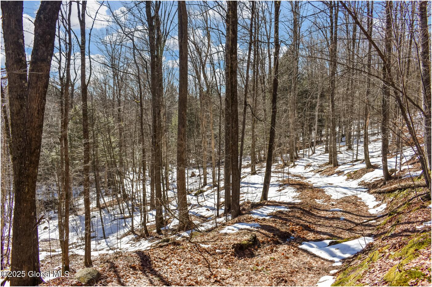 L64 Cooper Hill Road North Creek NY 12853
