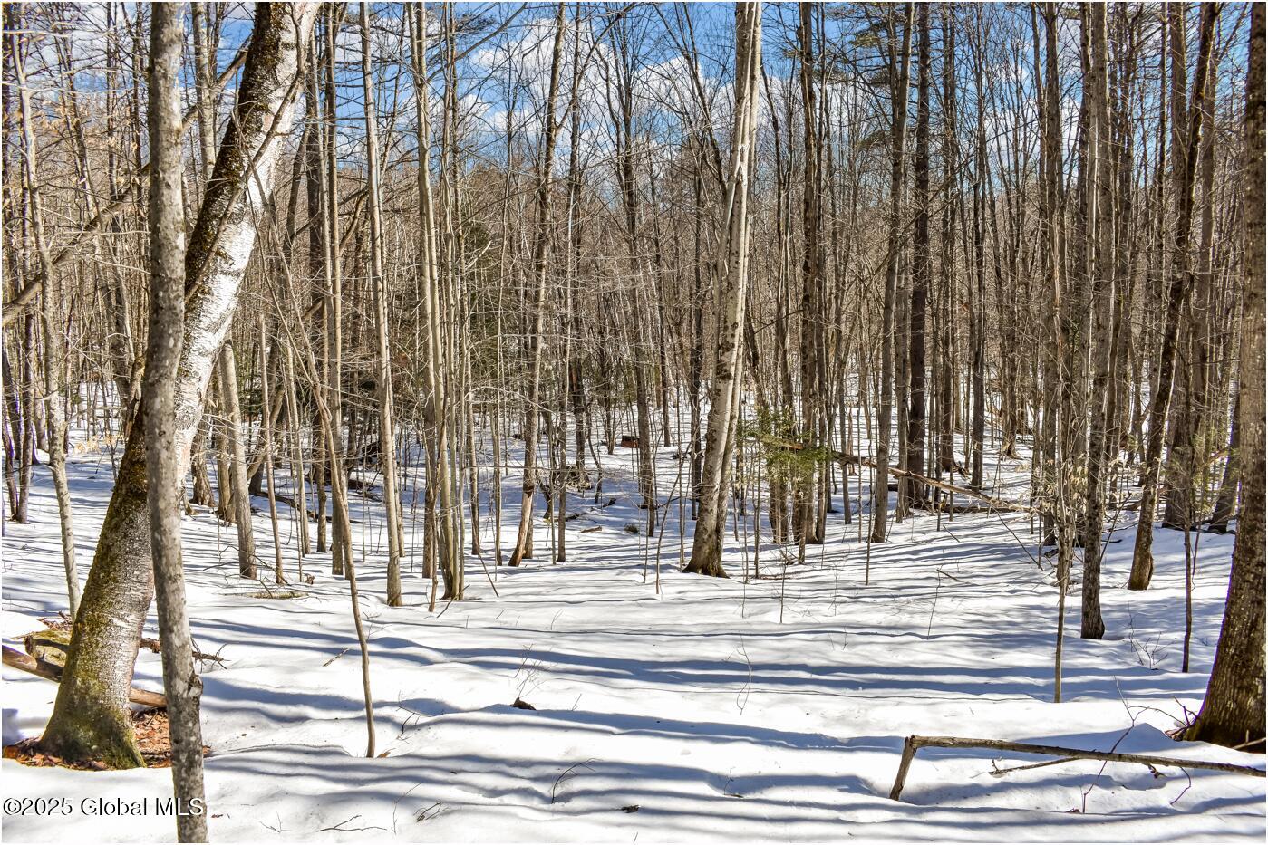 L64 Cooper Hill Road North Creek NY 12853