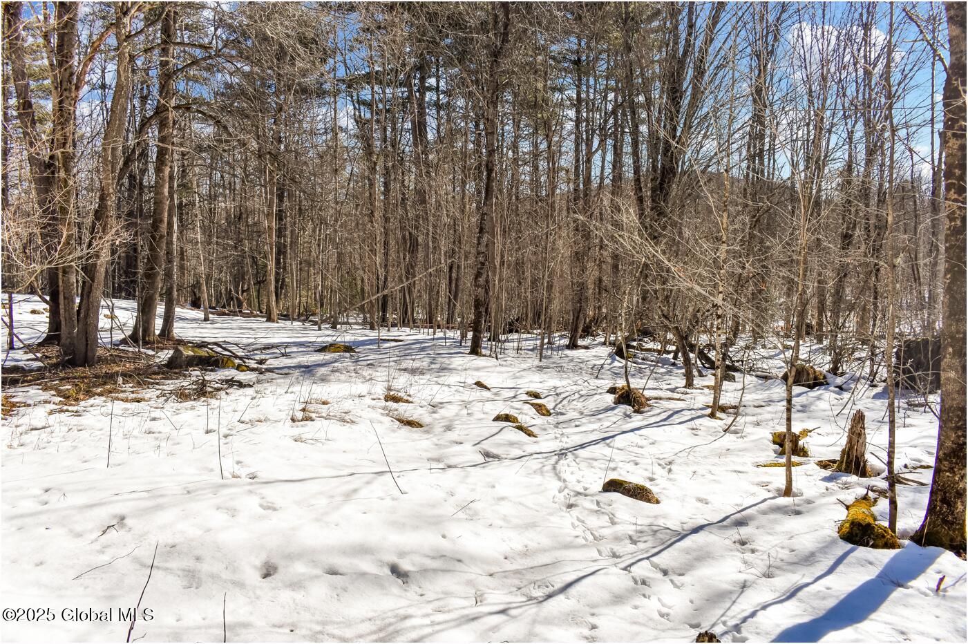 L64 Cooper Hill Road North Creek NY 12853