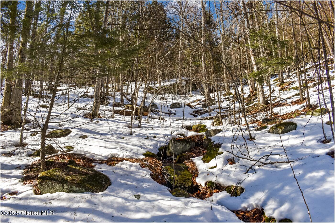 L64 Cooper Hill Road North Creek NY 12853