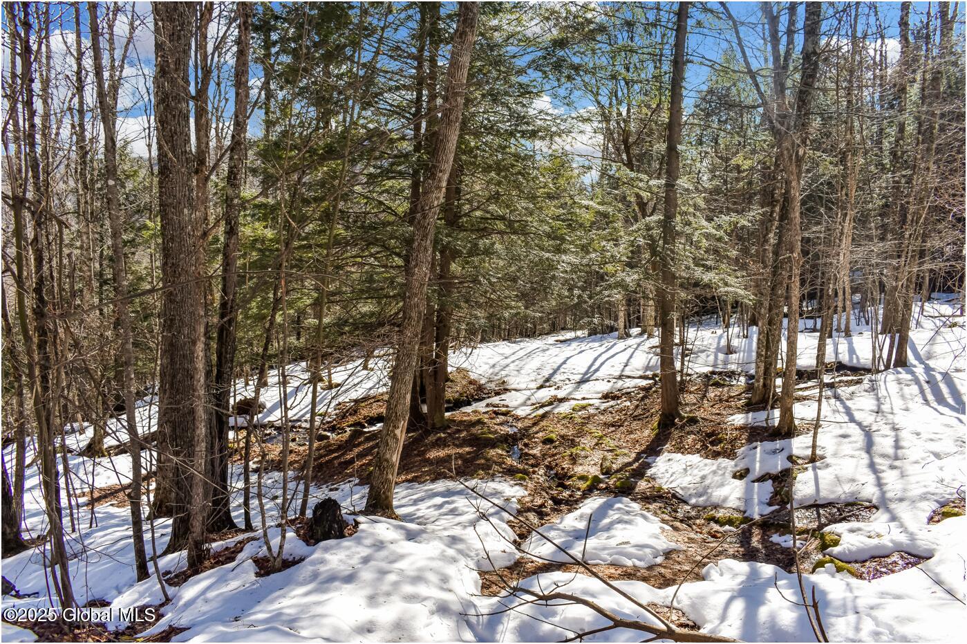 L64 Cooper Hill Road North Creek NY 12853