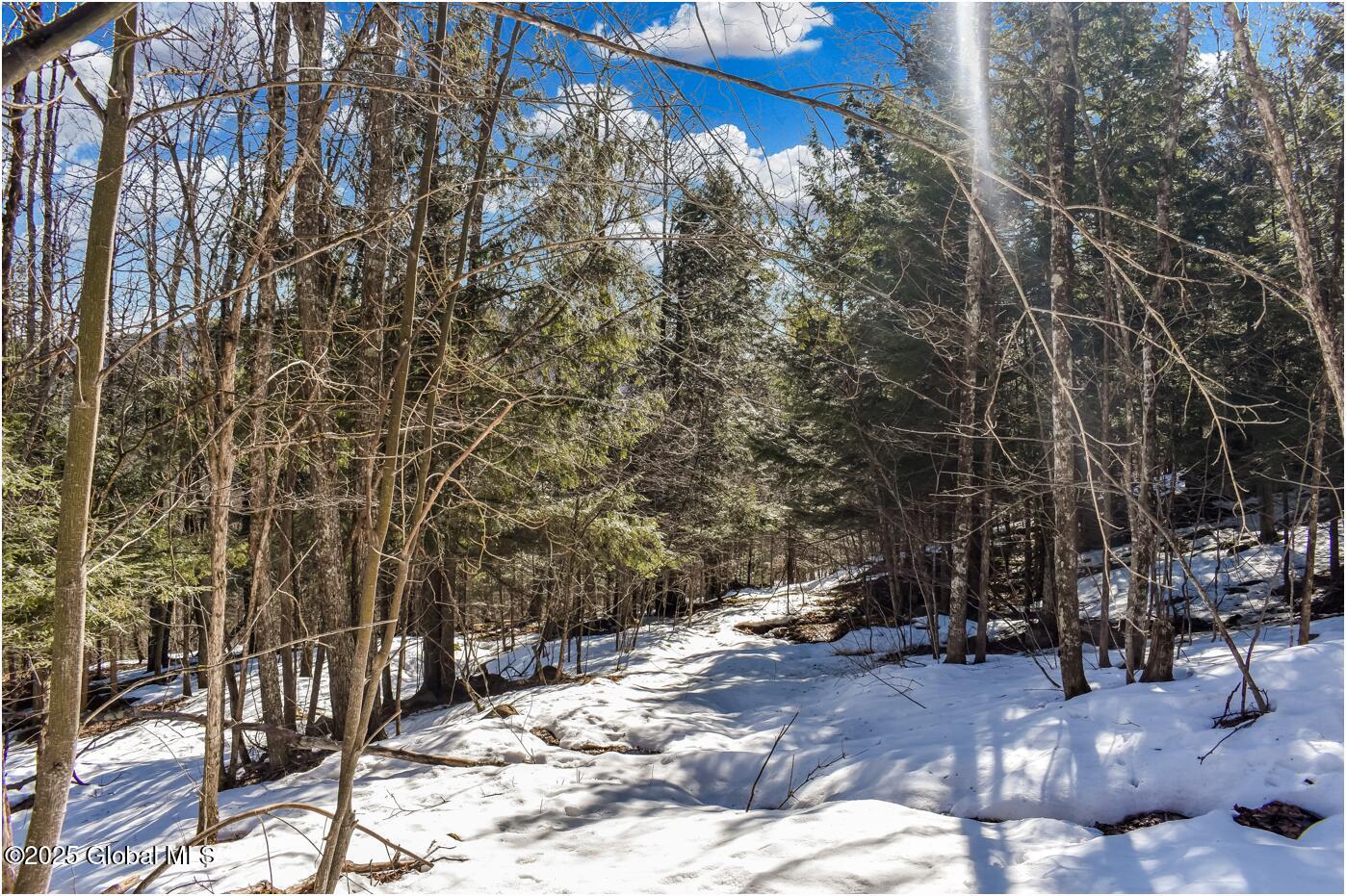 L64 Cooper Hill Road North Creek NY 12853