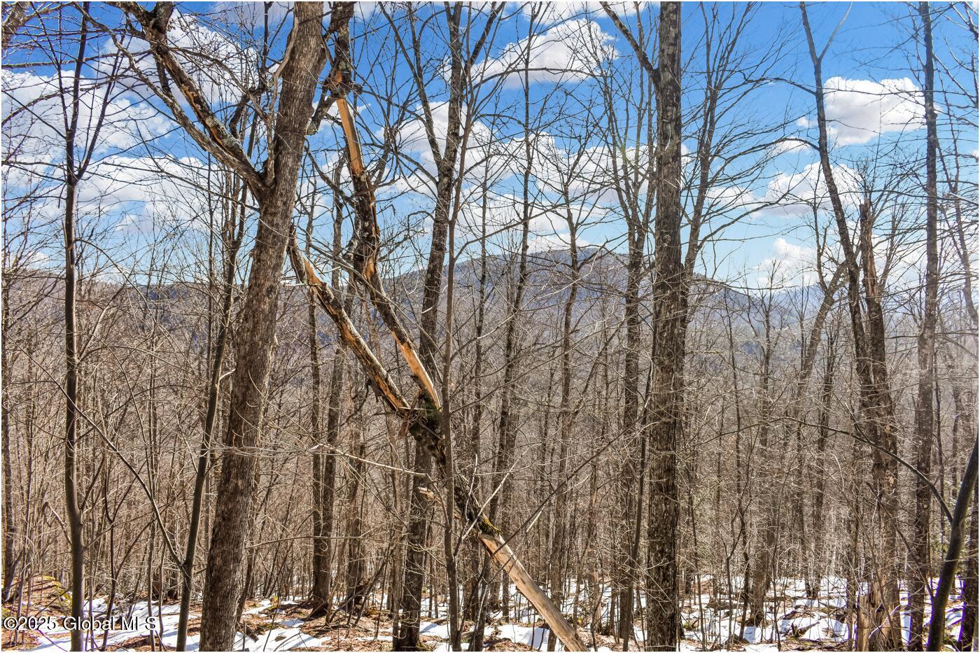 L64 Cooper Hill Road North Creek NY 12853
