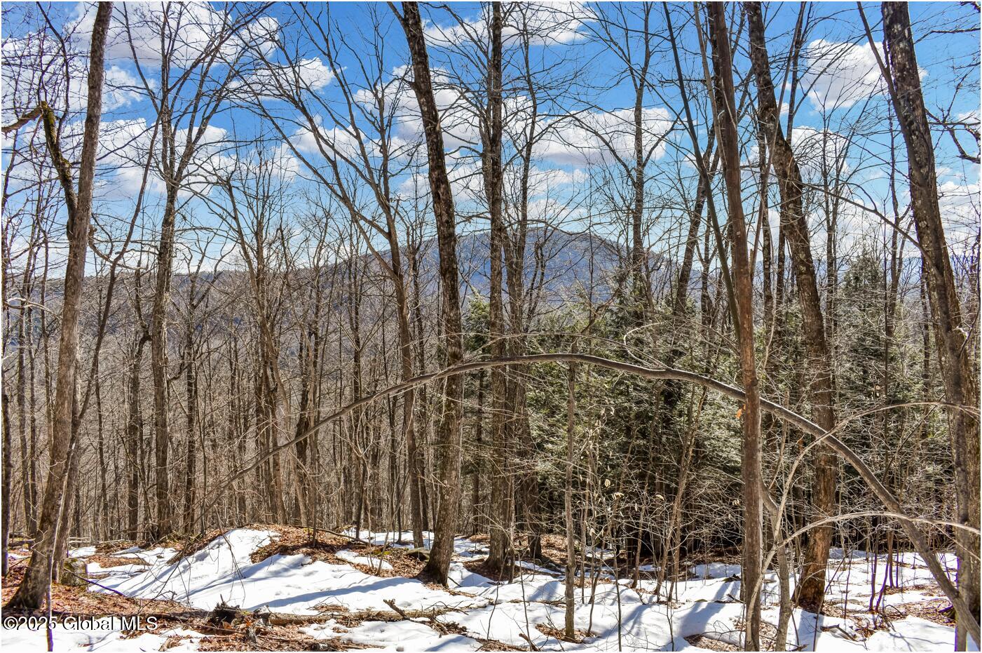 L64 Cooper Hill Road North Creek NY 12853