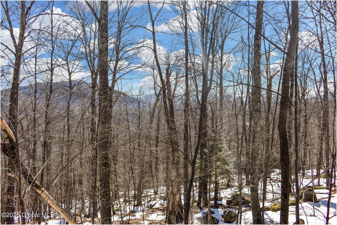 L64 Cooper Hill Road North Creek NY 12853
