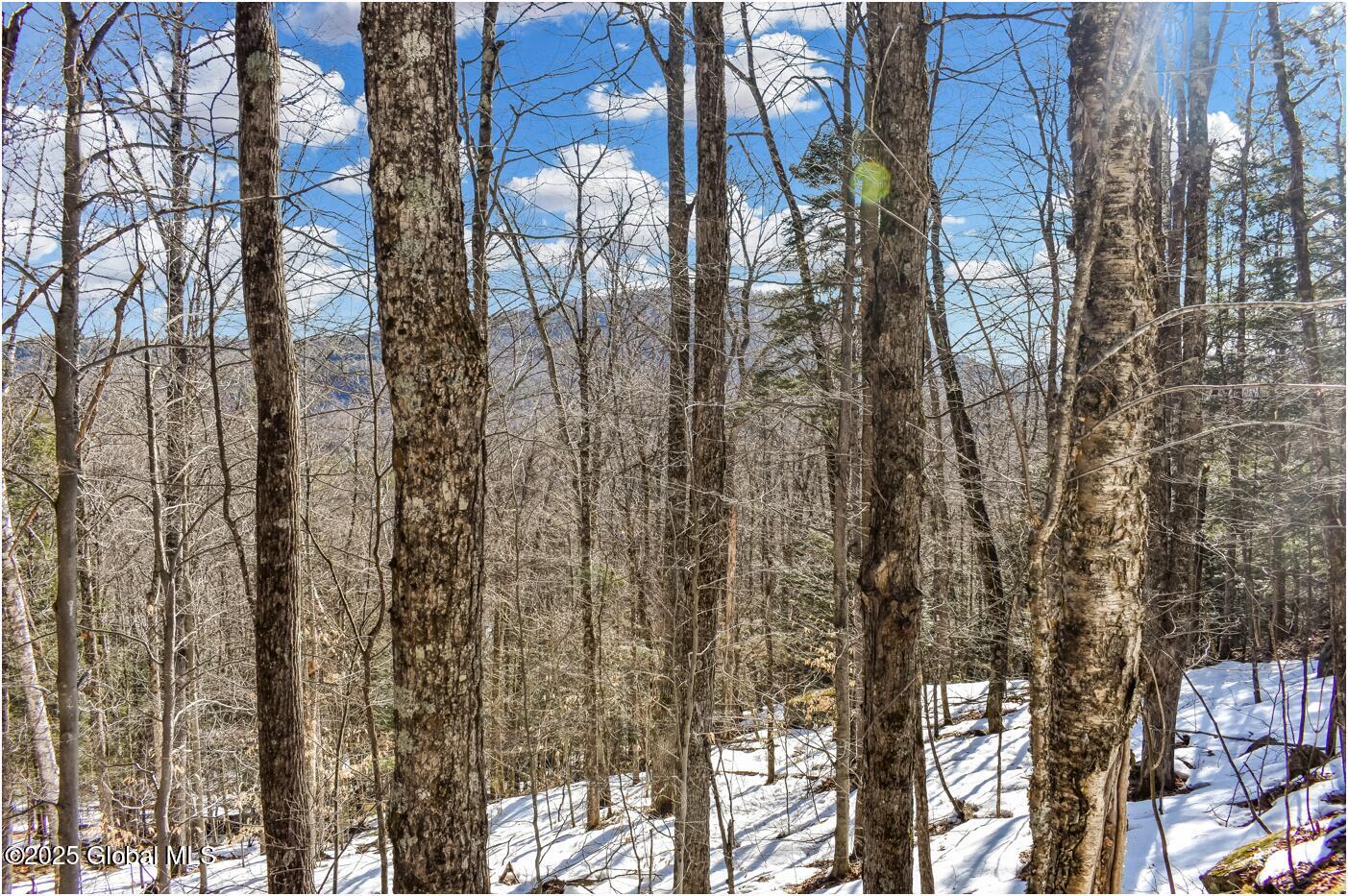 L64 Cooper Hill Road North Creek NY 12853