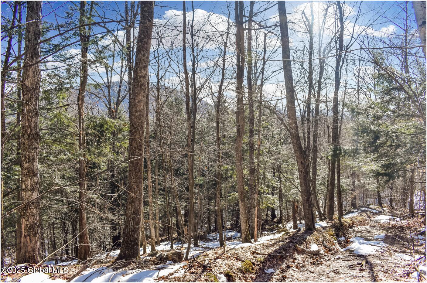 L64 Cooper Hill Road North Creek NY 12853